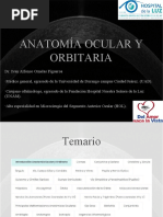 Anatomía Córnea Alumnos