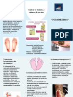 Pie Diabeticos (Tamaño Original)