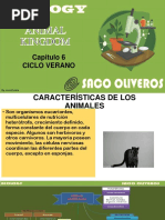 Reino Animal - Cap 6 Falta