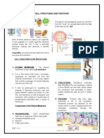 Cell Structures and Functions