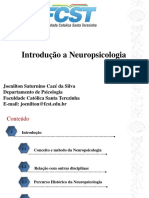 Aula 1 - Introdução A Neuropsicologia