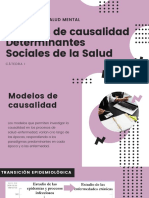 Práctico 2 - Modelos de Causalidad Determinantes Sociales de La Salud Ok