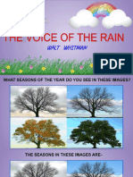 The Voice of The Rain