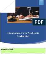 Grupo 2 - Introduccion A La Auditoria Ambiental