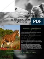 O Mundo Dos Cavalos