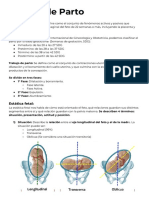 Trabajo de Parto