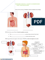 Diet Digestion and Excretion