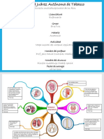 Sistema Respiratorio