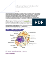 Cell Orgenelles