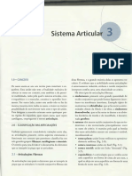 Sistema Articular