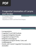 Congenital Disorders of Larynx