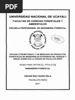 Universidad Nacional de Uca Yali: Facultad de Ciencias Forestales Y Ambientales