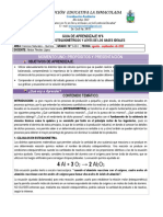 Guia Estequiometria y Gases Ideales Grado 10 2022