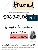 Cultura para Tylor, Malinowski e Franz Boas