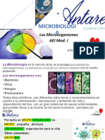 Microbiologia 1 Microorganismos 2022