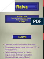 Raiva 2018 Treinamento 1 2