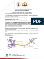 Guia de Fisiologia de SN