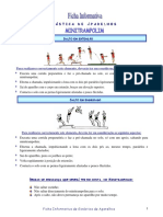 Ficha Inf. Ginástica de Aparelhos