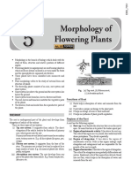 Morphology of Flowering Plants