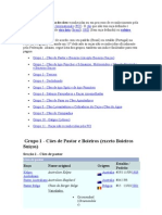 Esta É Uma Lista de Raças de Cães Reconhecidas Ou em Processo de Reconhecimento Pela Fédération Cynologique Internationale