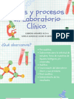 Fases y Procesos en LC