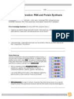 6.3 Activity - 3 RNAProteinSynthesisSE