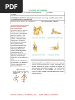 CIENCIAS NATURALES Proyecto 2