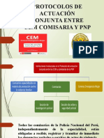 Protocolos de Actuación Conjunta Entre Cem Comisaria y