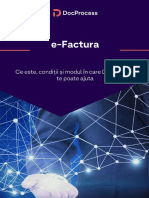 Ghid Efactura DocProcess