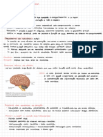 Sensacao Fundamentos Conceptuais