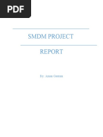 SMDM Project Report