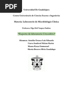 Reporte de Laboratorio Urocultivo