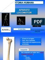 Aparato Locomotor 1