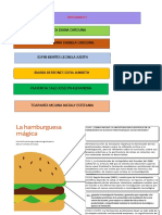 Ensayo Argumentativo