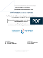 Rapport de Stage de Fin D