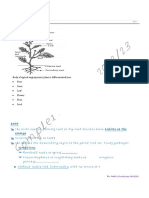 Morpho Work Book 2077 Final Copy 2