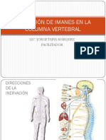 6 Aplicación de Imanes en La Columna Vertebral