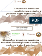 Powerpoint Investigación