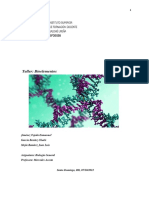 Taller Sobre Bioelementos