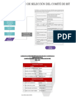 Proceso de Seleccion Del Comite Del SST