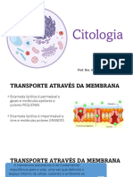 4 - Transporte de Membrana