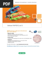 Rapid'E.coli2 Flier