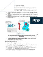 Chapter 17 Inheritance Igcse 0610 2023 Notes