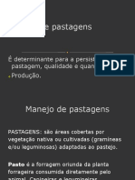 Aula - Forragicultura - Manejo e Utilização de Pastagens (Medio)