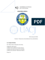 Reacciones de Identificación de Carbohidratos