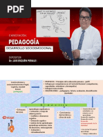 Desarrollo Socioemocional