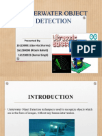 Underwater Object Detection