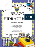 Brazohidraulicoinforme 220915132711 A3ba7579