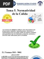 5.1 Normas de Calidad Iso 9001