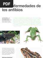 3 - Enfermedades de Los Anfibios